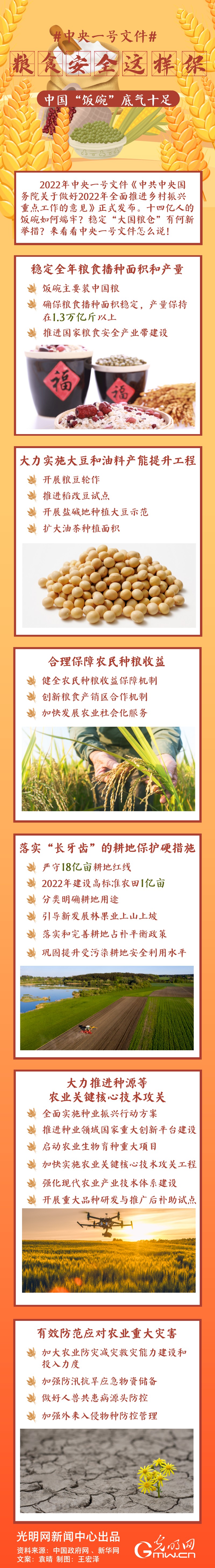 中央一號(hào)文件｜糧食安全這樣保，中國“飯碗”底氣十足