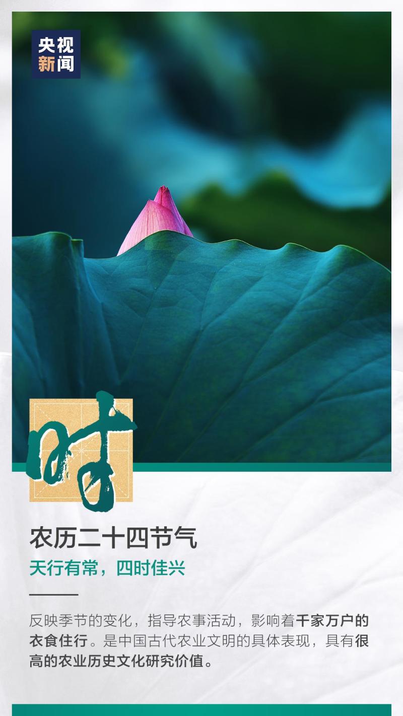 這也太浪漫了吧！