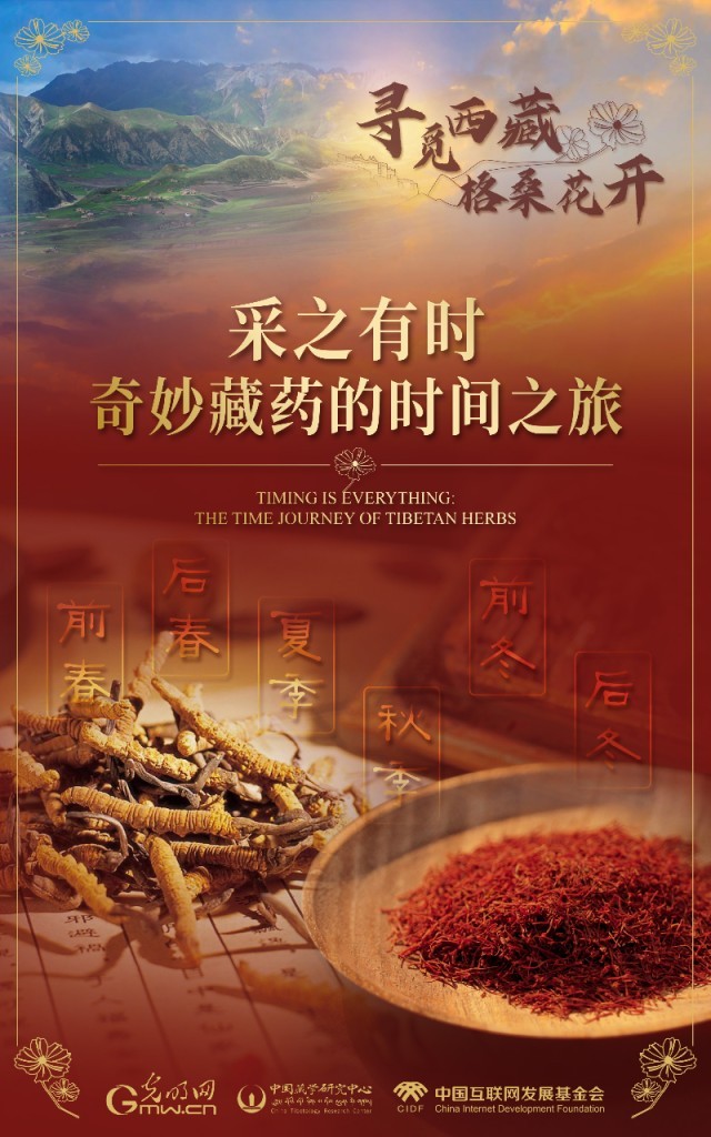 【尋覓西藏·格?；ㄩ_】采之有時：奇妙藏藥的時間之旅