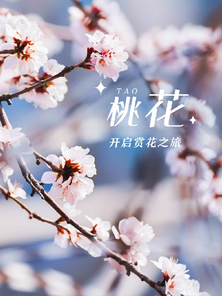 追花指南第三期！別等了 今天就去和桃花撞個滿懷