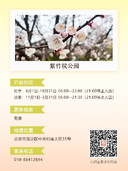 追花指南第六期！杏花雨 楊柳風(fēng) 北京最美的杏花在這里