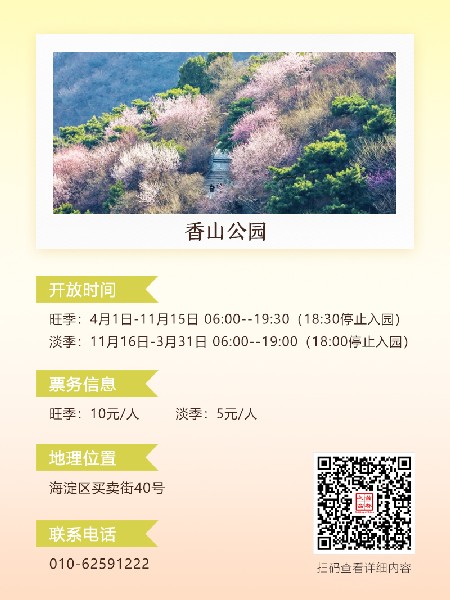 追花指南第六期！杏花雨 楊柳風(fēng) 北京最美的杏花在這里