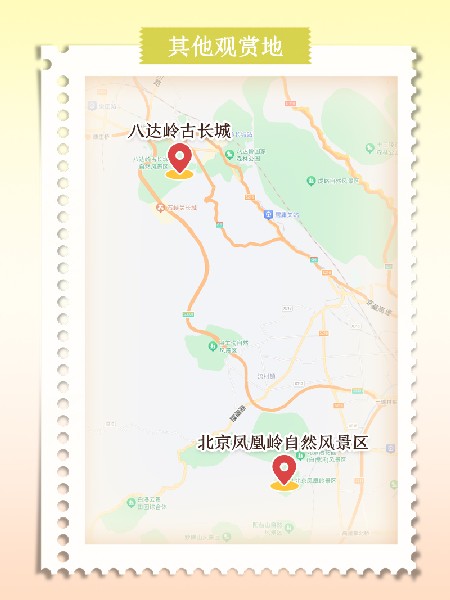 追花指南第六期！杏花雨 楊柳風(fēng) 北京最美的杏花在這里