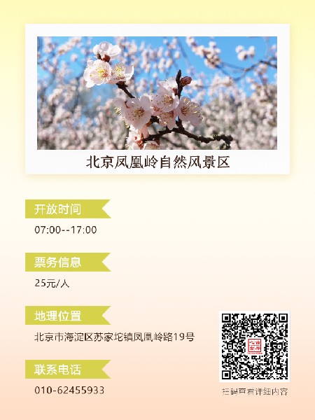 追花指南第六期！杏花雨 楊柳風(fēng) 北京最美的杏花在這里