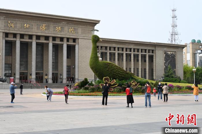 圖為游客在花壇前拍照打卡?！〉杂鸺?攝