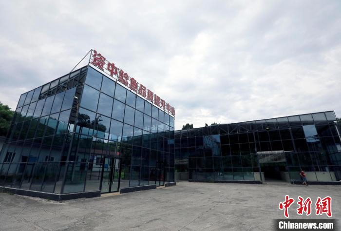 四川資中:“中國(guó)鯰魚(yú)之鄉(xiāng)”鯰魚(yú)游出致富路