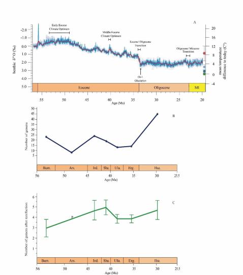 早始新世至早漸新世東亞嚙齒類屬級多樣性變化?！≈锌圃汗偶棺邓?供圖