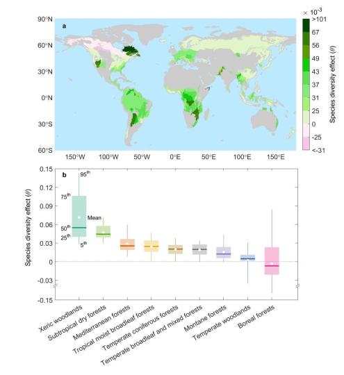 中國(guó)繪制世界首幅全球樹種多樣性對(duì)森林抵抗力影響空間分布圖