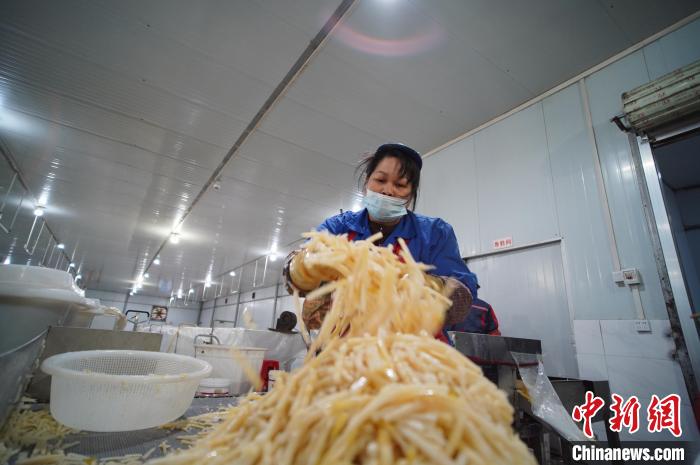 圖為一名工人正在處理切成條狀后的酸筍?！№f國政 攝