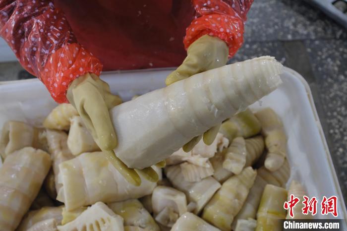 圖為整根腌制后撈出的酸筍?！⒖÷?攝