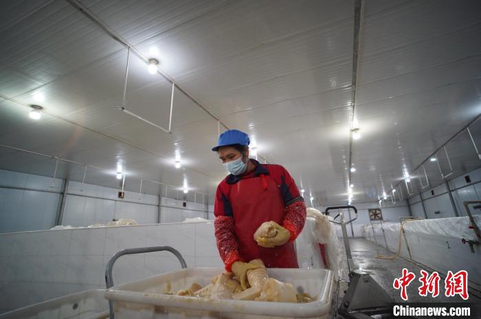 圖為一名工人正在查看酸筍腌制效果?！№f國政 攝