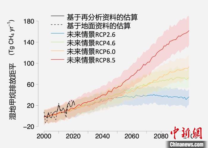 基于觀測的濕地甲烷排放變化與未來氣候變化情景下估算的對比?!≈锌圃呵嗖馗咴?供圖