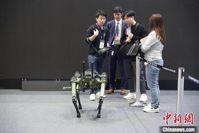 圖為觀眾在展會(huì)參觀機(jī)器人?！⑿?攝