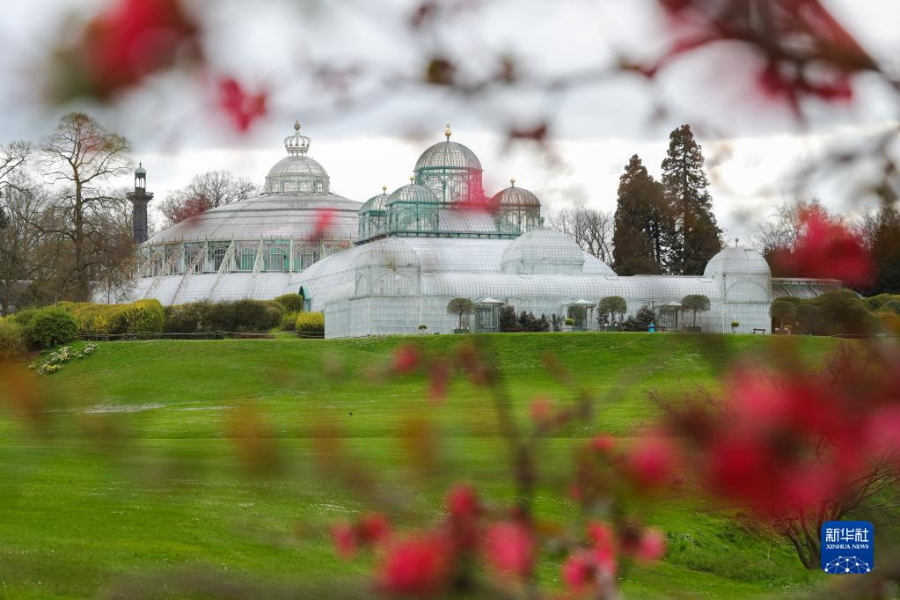 這是4月14日在比利時(shí)布魯塞爾拍攝的拉肯宮王家溫室花園。新華社記者 鄭煥松 攝
