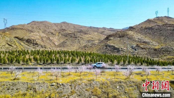 生態(tài)修復(fù)后逐漸變綠的賀蘭山石嘴山段。　石嘴山市委宣傳部供圖