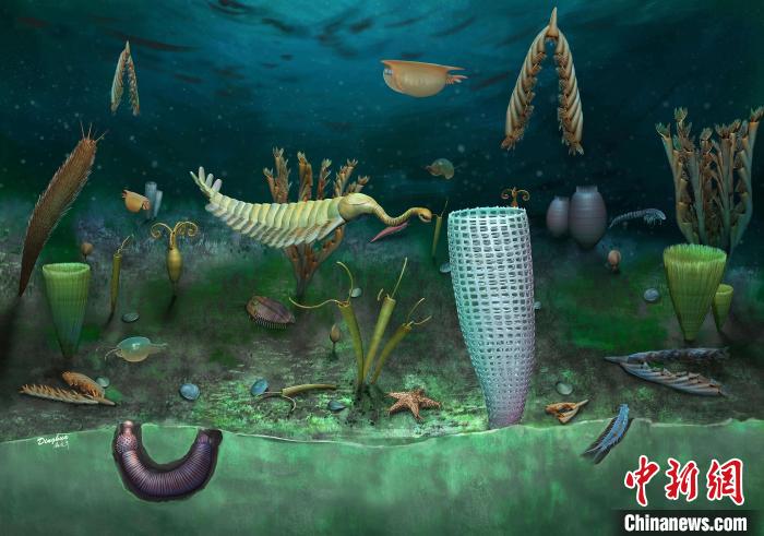 Castle Bank動物群藝術復原圖(Yang Dinghua繪制)?！∈┢樟指瘛ぷ匀?供圖