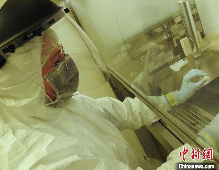 Elena Essel在凈室中處理鹿牙墜飾(圖片來自馬克斯·普朗克演化人類學研究所)?！∈┢樟指瘛ぷ匀?供圖