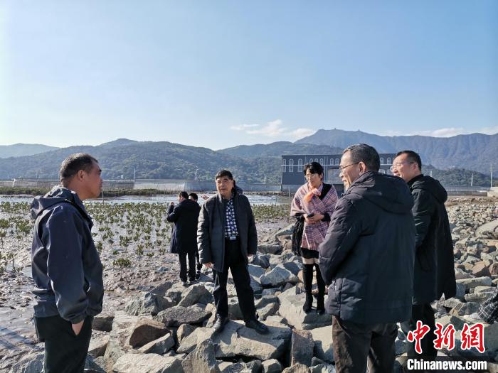 浙江海洋生態(tài)觀察：智慧大腦如何解鎖藍(lán)色發(fā)展密碼？