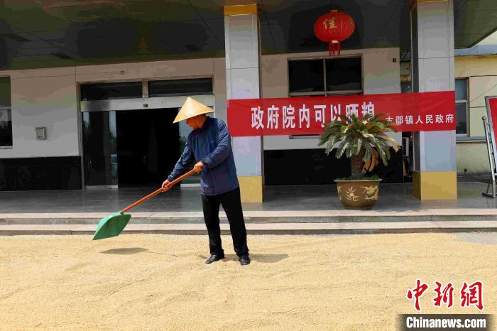 村民在棗莊市嶧城區(qū)古邵鎮(zhèn)政府大院內(nèi)晾曬糧食?！『?　攝