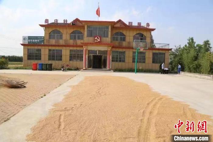 農(nóng)民在邳莊鎮(zhèn)尚莊村黨群服務(wù)中心大院里曬糧?！≠Z萌 攝