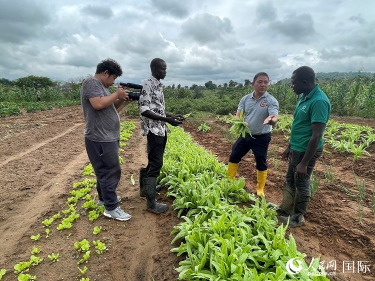 人民網(wǎng)記者走進尼日利亞農(nóng)業(yè)技術(shù)示范中心。人民網(wǎng)記者 趙艷紅攝