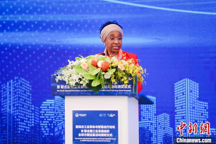 聯(lián)合國工業(yè)發(fā)展組織總干事代表兼執(zhí)行干事法圖 海達拉致辭。