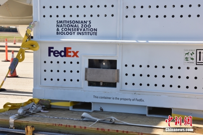 當?shù)貢r間11月8日，美國華盛頓史密森學會國家動物園的大熊貓“美香”“添添”和它們的幼崽“小奇跡”乘坐的專機從華盛頓杜勒斯國際機場起飛前往中國成都。圖為裝有大熊貓的特制“旅行箱”。<a target='_blank' href='/'><p  align=