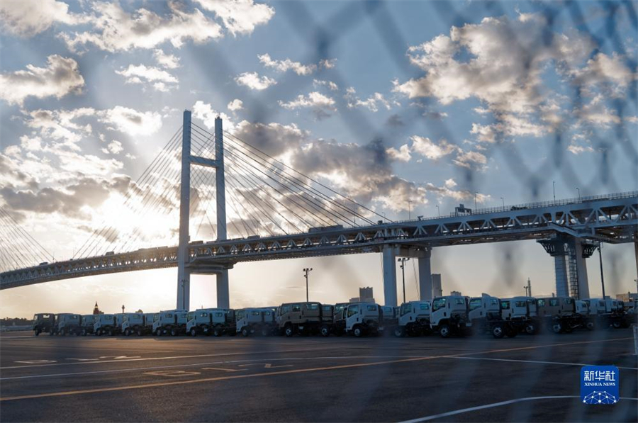 這是11月14日在日本橫濱拍攝的進(jìn)出口汽車集散場(chǎng)地。新華社記者 張笑宇 攝