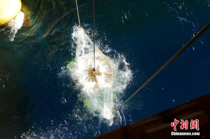 機(jī)器人入水瞬間。<a target='_blank' href='/' _fcksavedurl='/' ><p  align=