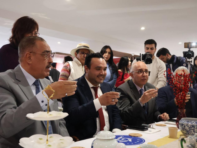 觀眾興致勃勃地體驗(yàn)茶藝。陳芷珊攝