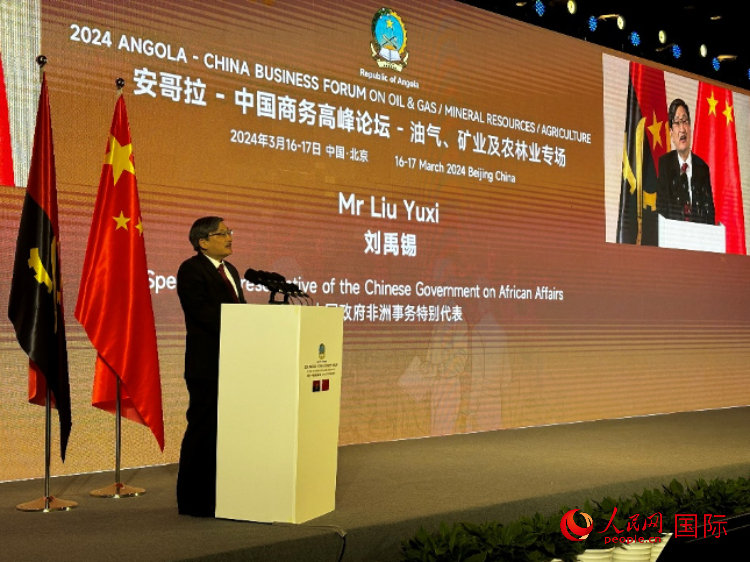 中國政府非洲事務(wù)特別代表劉禹錫。人民網(wǎng)記者 張榮攝