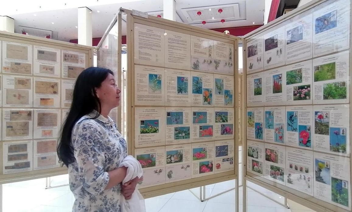 藥用植物極限片展覽場(chǎng)景。第七屆阿聯(lián)酋集郵展主辦方供圖