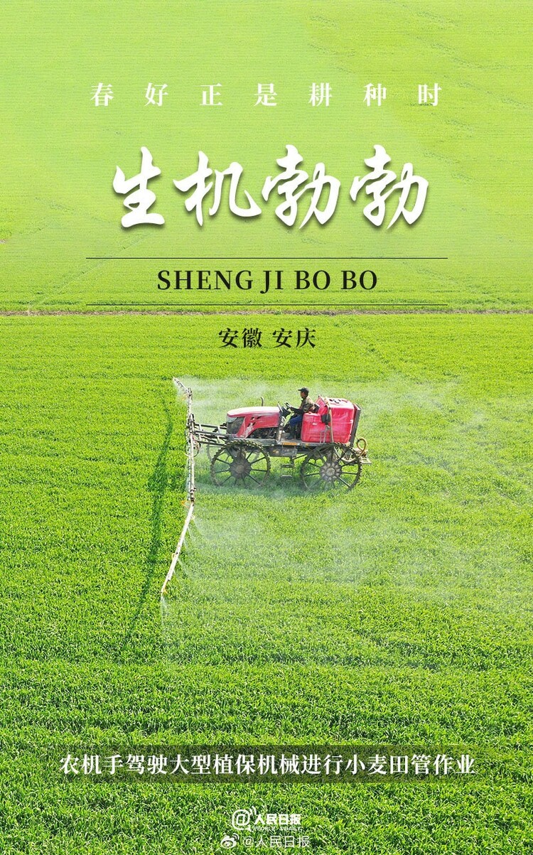 生機盎然！用課本封面打開春耕畫卷