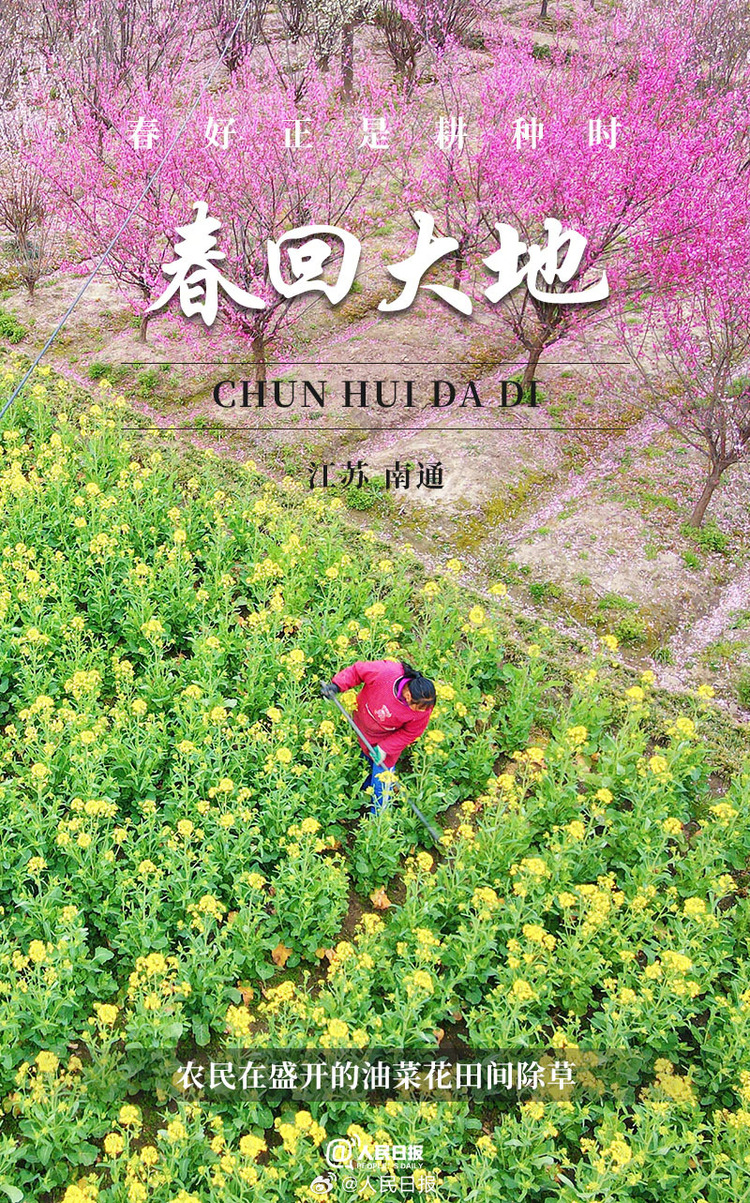 生機盎然！用課本封面打開春耕畫卷