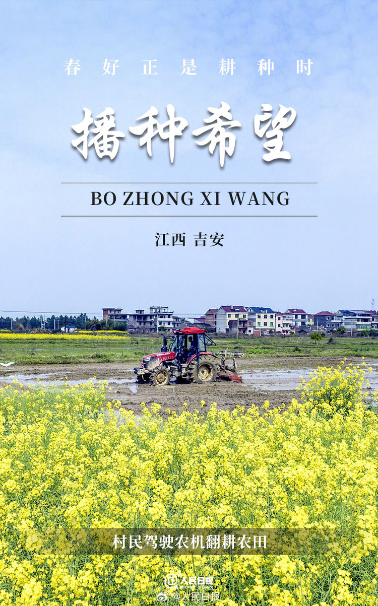 生機盎然！用課本封面打開春耕畫卷