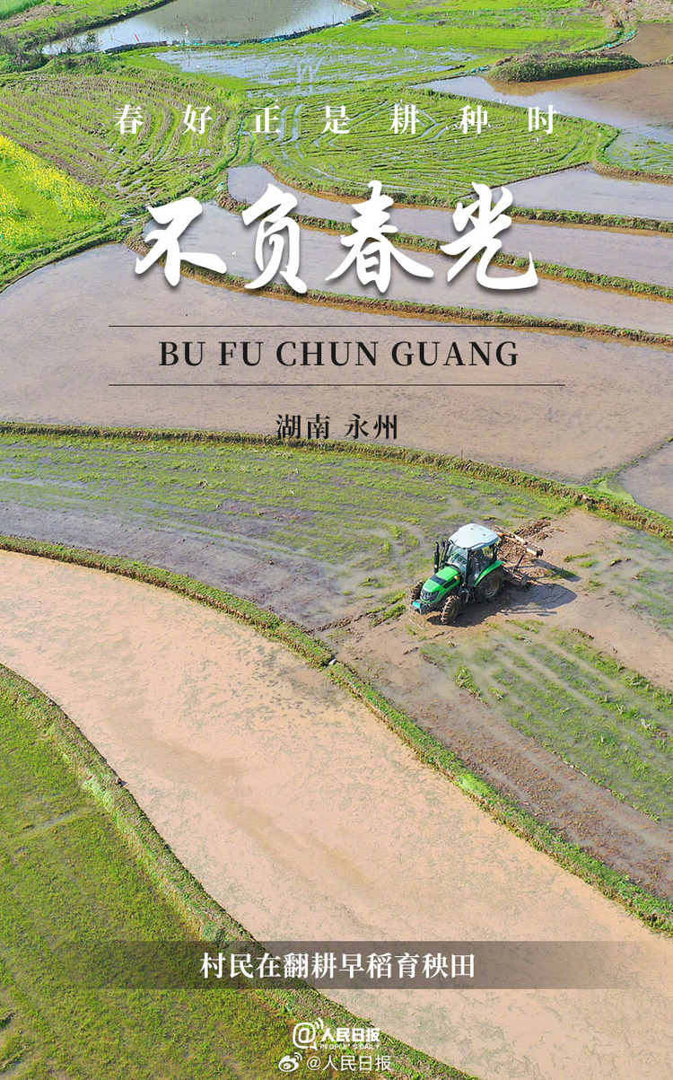 生機盎然！用課本封面打開春耕畫卷