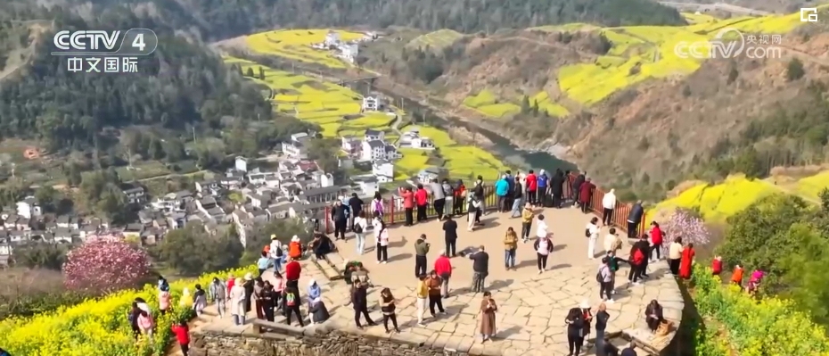 “春日經濟”熱力十足 “賞花+”融合煥新創(chuàng)造發(fā)展場景式消費新機遇