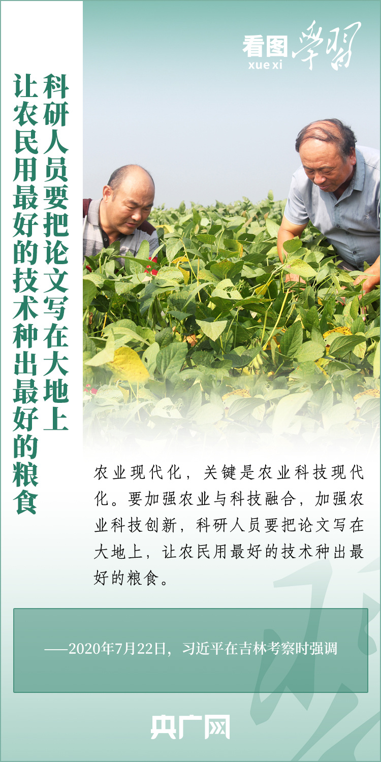 看圖學(xué)習(xí)丨推廣良田、良種、良法、良機(jī) 給農(nóng)業(yè)現(xiàn)代化插上科技的翅膀