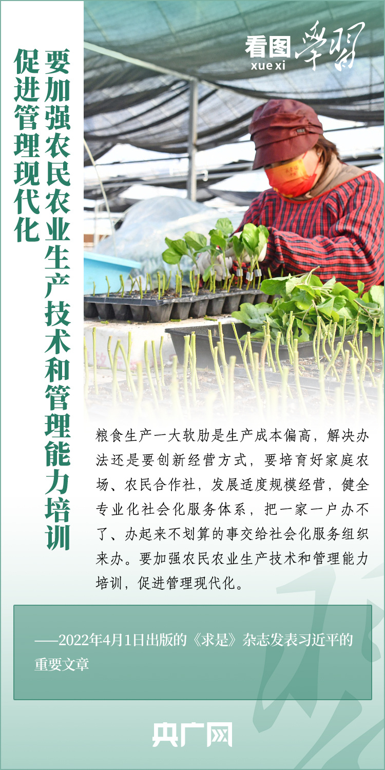 看圖學(xué)習(xí)丨推廣良田、良種、良法、良機(jī) 給農(nóng)業(yè)現(xiàn)代化插上科技的翅膀