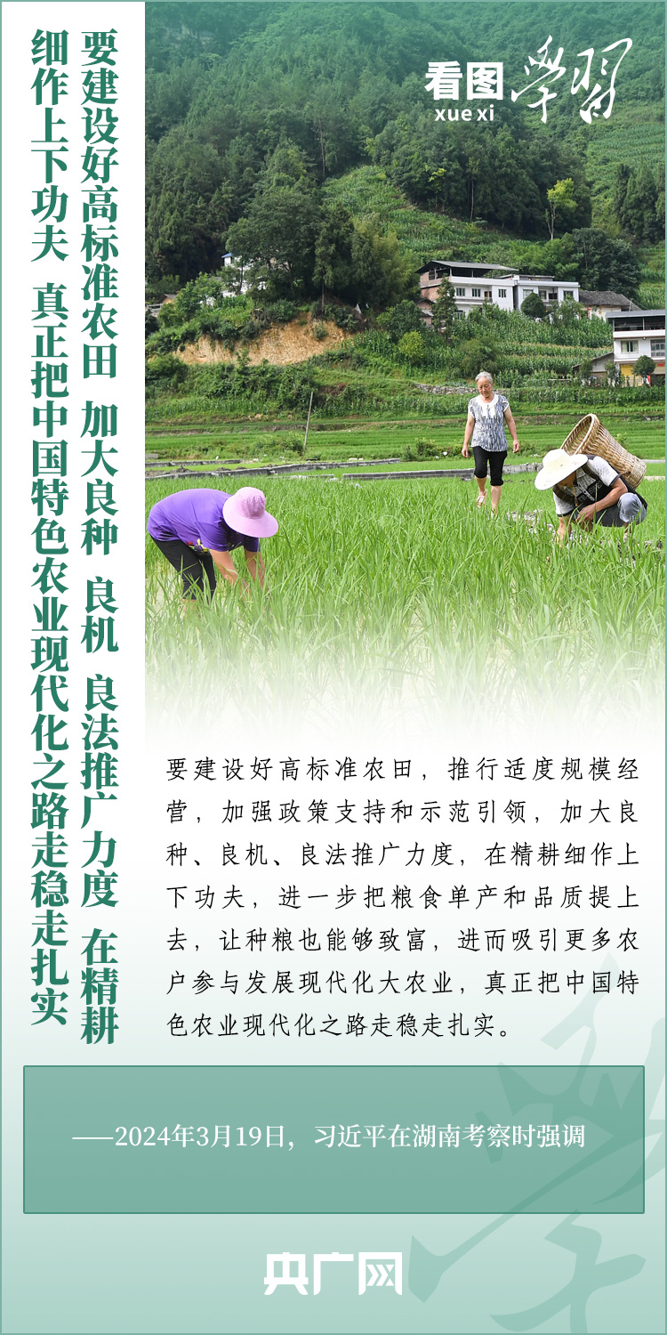 看圖學(xué)習(xí)丨推廣良田、良種、良法、良機(jī) 給農(nóng)業(yè)現(xiàn)代化插上科技的翅膀