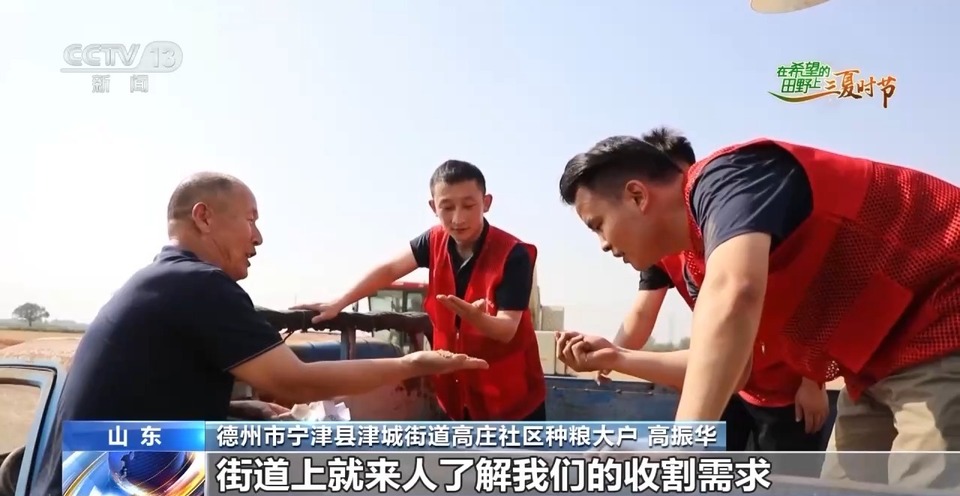 “三夏”生產(chǎn)思維導(dǎo)圖安排上了！還有政府大院等你來“曬”