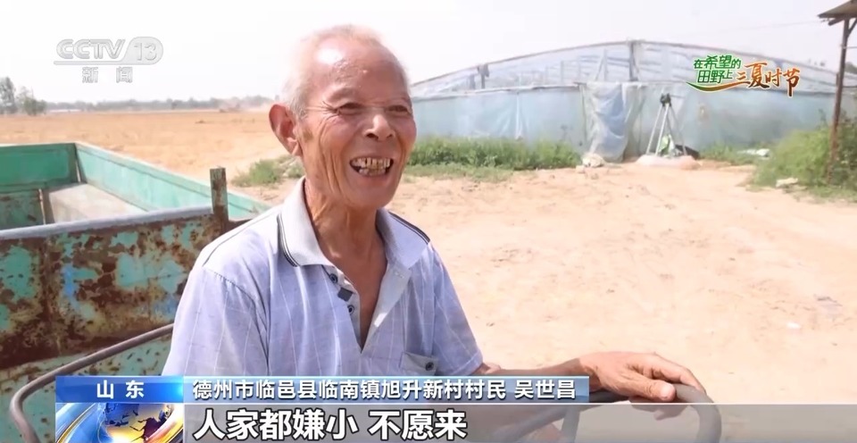 “三夏”生產(chǎn)思維導(dǎo)圖安排上了！還有政府大院等你來“曬”