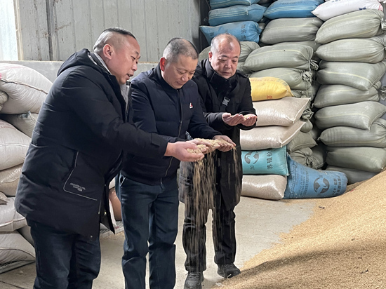 桃江種糧大戶(hù)與農(nóng)村農(nóng)業(yè)局技術(shù)人員正在查看春耕種子情況。受訪(fǎng)單位供圖