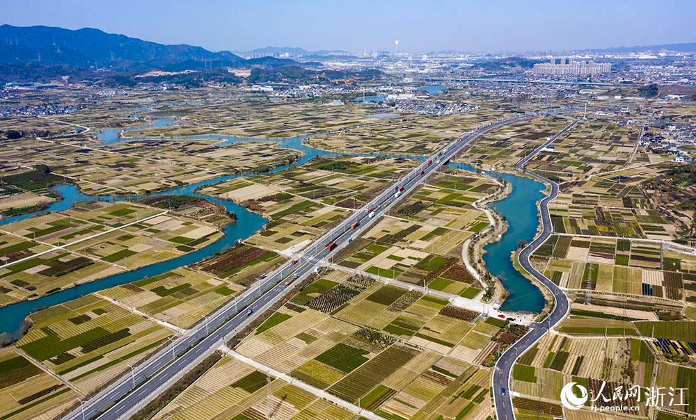 寧波市北侖區(qū)柴橋街道的萬畝花田猶如打翻的調(diào)色盤。人民網(wǎng) 章勇濤攝