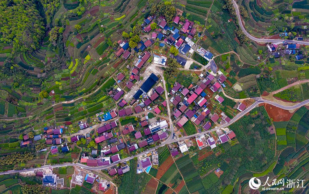 4月1日，紹興市新昌縣東茗鄉(xiāng)下巖貝村風(fēng)光秀麗，茶園旖旎。人民網(wǎng) 章勇濤攝