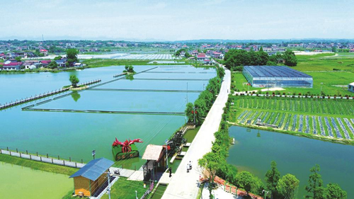 近年來(lái)，大成橋鎮(zhèn)堅(jiān)持加強(qiáng)黨對(duì)鄉(xiāng)村治理的集中統(tǒng)一領(lǐng)導(dǎo)，該鎮(zhèn)鄉(xiāng)村治理模式入選第二批全國(guó)鄉(xiāng)村治理典型案例。圖為美麗的大成橋鎮(zhèn)。（資料圖片）