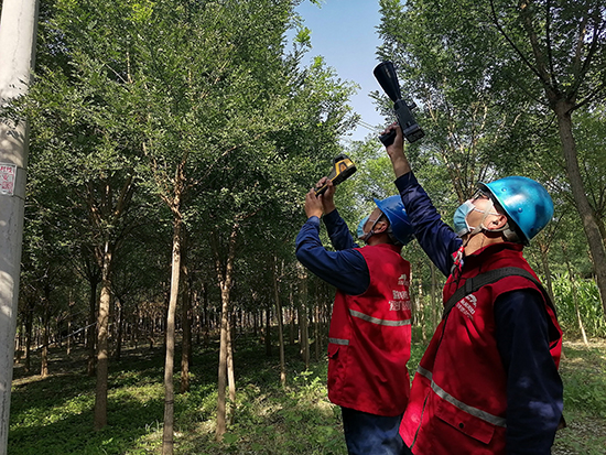 工作人員進(jìn)行紅外測溫及超聲波局部放電檢測。 王亮攝