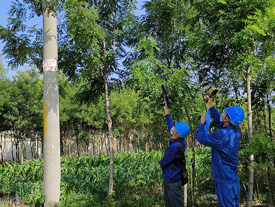 工作人員進(jìn)行紅外測溫及超聲波局部放電檢測。 王亮攝