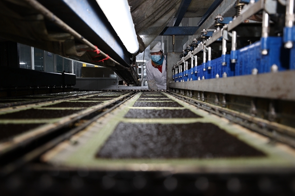 柘汪紫菜產(chǎn)業(yè)園內(nèi)入駐企業(yè)的紫菜生產(chǎn)線。贛榆區(qū)委宣傳部供圖