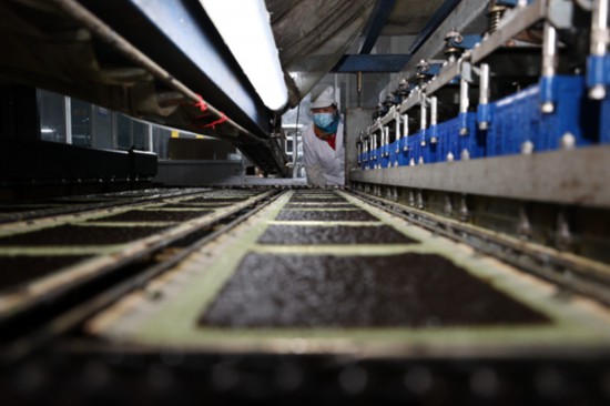 柘汪紫菜產(chǎn)業(yè)園內(nèi)入駐企業(yè)的紫菜生產(chǎn)線。贛榆區(qū)委宣傳部供圖